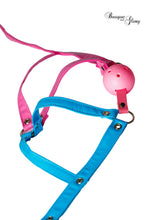 Load image into Gallery viewer, Bubblegum Ball Gag Face Harness