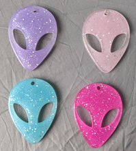 Load image into Gallery viewer, Space Babe Harness